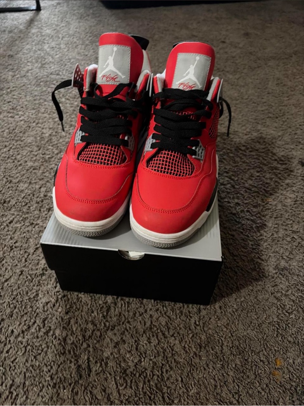 Jordan 4 toro bravo - size 12